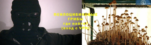 a pvp Богородицк
