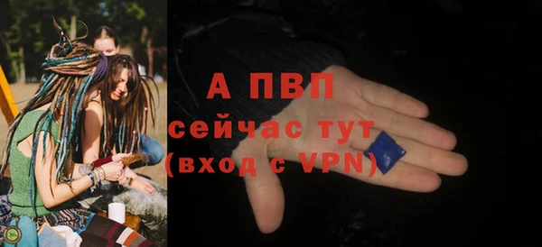 дмт Богородск