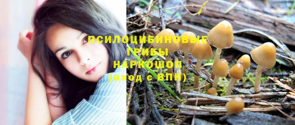 ПСИЛОЦИБИНОВЫЕ ГРИБЫ Балахна